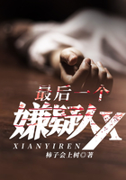 最后一個嫌疑人X在線閱讀