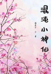 混沌小神仙