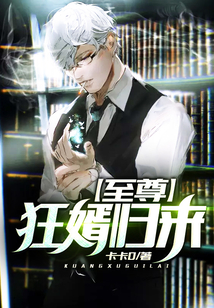 至尊狂婿歸來