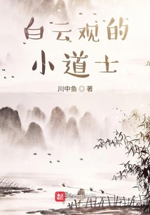 白云观的小道士