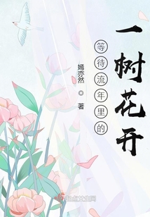 等待流年里的一樹花開