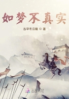 如梦不真实在线阅读