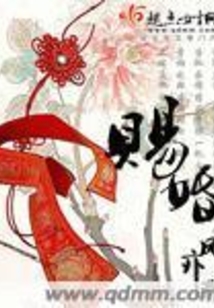 赐婚在线阅读