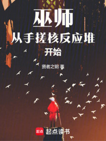 巫師從手搓核反應(yīng)堆開始
