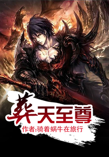 葬天至尊