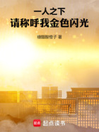 一人之下：请称呼我金色闪光在线阅读