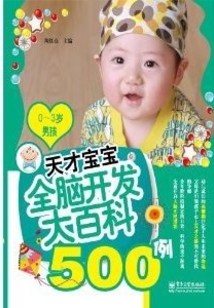 天才寶寶全腦開發大百科500例（0～3歲男孩）