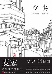 刀尖2：陰面