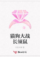 貓狗大戰長須鼠在線閱讀