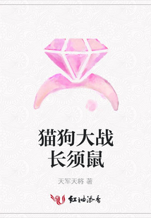 貓狗大戰長須鼠