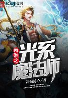 网游之光系魔法师在线阅读