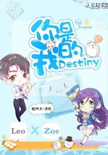 你是我的Destiny