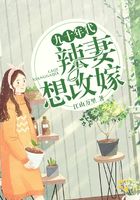 九十年代辣妻想改嫁在線閱讀