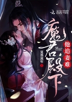 魔君殿下他追妻難在線閱讀