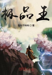 極品王