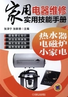 家用电器维修实用技能手册:热水器、电磁炉、小家电在线阅读