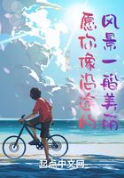 愿你像沿途的风景一般美丽