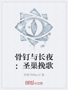 骨钉与长夜:圣巢挽歌在线阅读