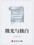 微光与独白在线阅读