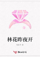 林花昨夜開在線閱讀