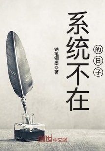 系统不在的日子