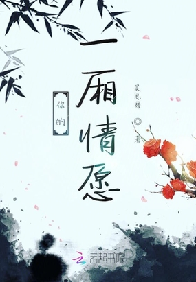 你的一厢情愿在线阅读
