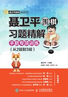 聂卫平围棋习题精解：手筋专项训练（从2段到3段）