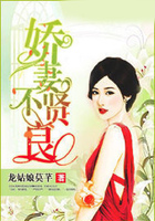 嬌妻不賢良在線閱讀