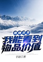 雪地求生我能看到物品价值在线阅读