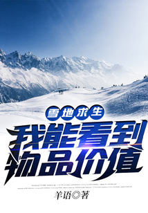 雪地求生我能看到物品價值