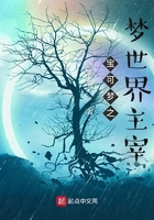 宝可梦之梦世界主宰在线阅读