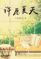 許愿夏天在線閱讀