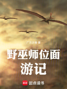 野巫师位面游记 cover