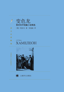 变色龙:契诃夫中篇小说精选(译文名著精选)
