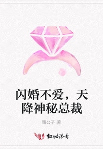 閃婚不愛(ài),天降神秘總裁