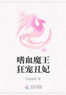 嗜血魔王狂寵丑妃