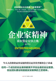 企業(yè)家精神