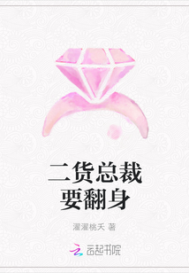 二货总裁要翻身