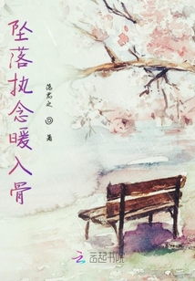 坠落执念暖入骨