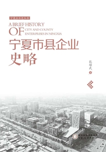 寧夏市縣企業史略