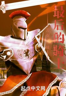 刀劍神域：最后的騎士