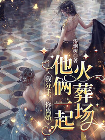 我分手,你離婚,他倆一起火葬場(chǎng)