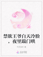 禁欲王爷白天冷脸,夜里踹门哄在线阅读
