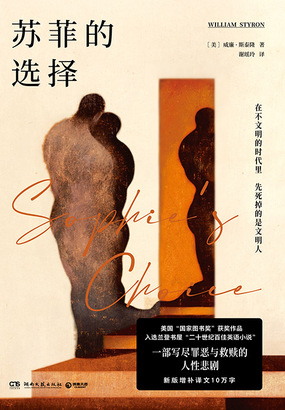 苏菲的选择在线阅读