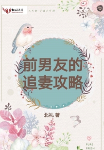 前男友的追妻攻略