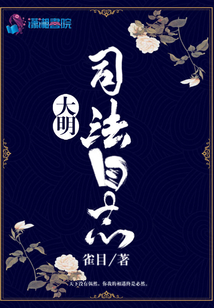 大明司法日志