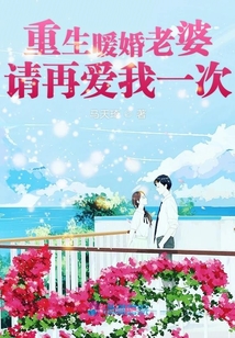 重生暖婚老婆請再愛我一次