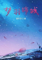 梦羽锦城