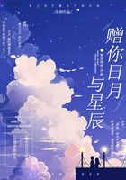 赠你日月与星辰在线阅读