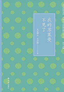 我的蘇萊曼不見了